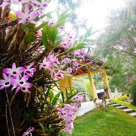 Casa Com Flores Pedra Azul  Luaran gambar