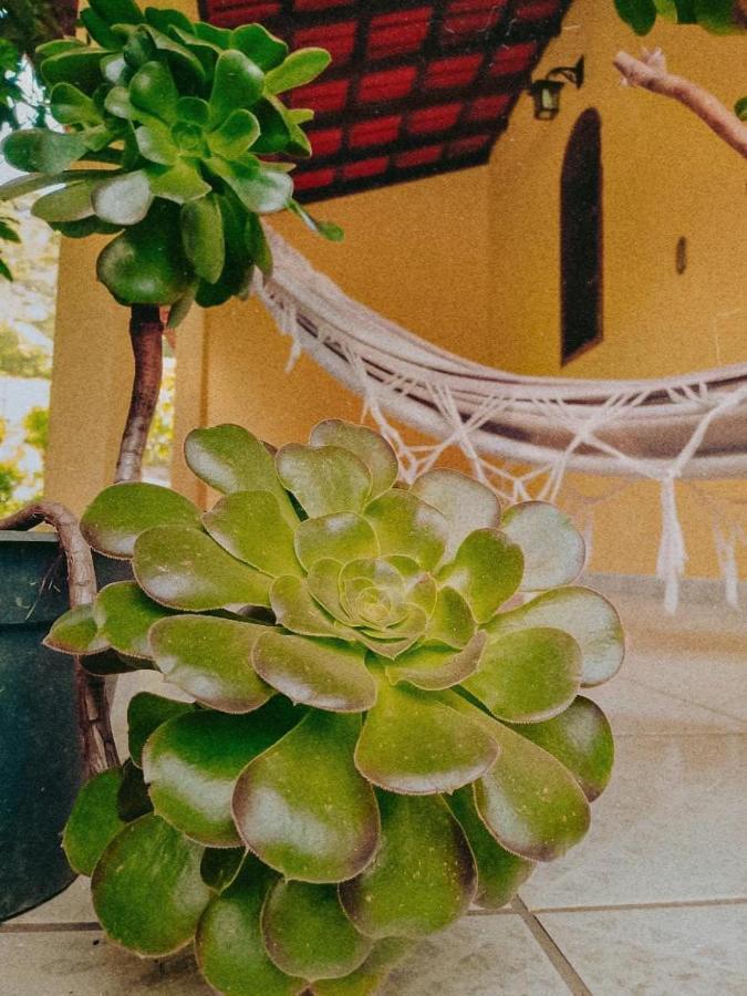 Casa Com Flores Pedra Azul  Luaran gambar